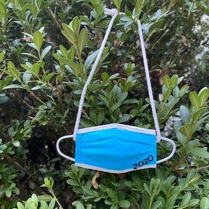 Christmas ornament set  2020 blue surgical  mask